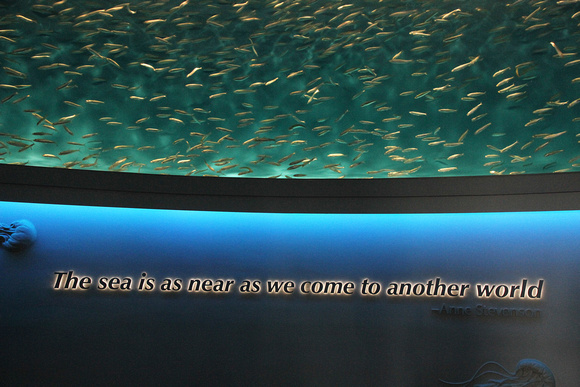 Monterey Bay Aquarium
