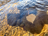 Truckee River Heart